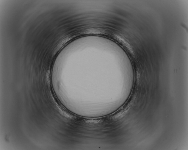 X0000091241033200709061535