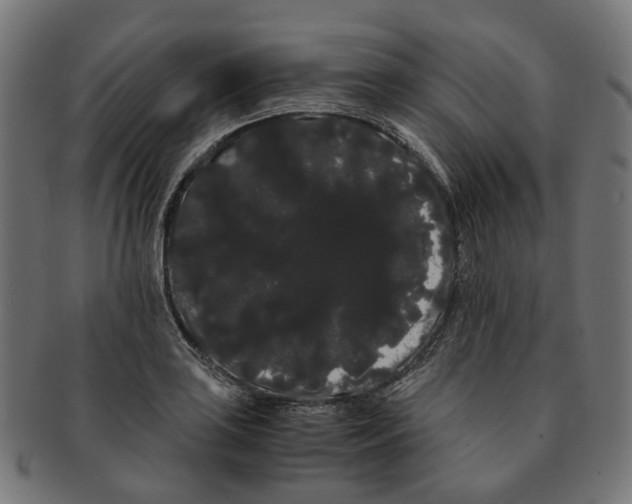 X0000091241035200709061535
