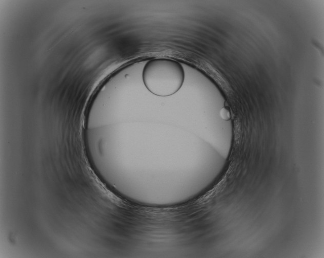 X0000091241036200709061535