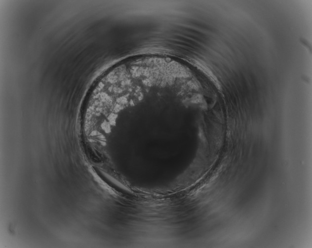 X0000091241037200709061535