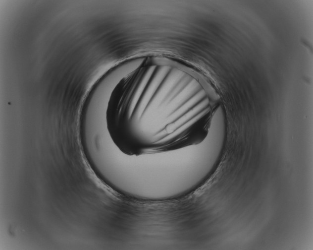 X0000091241038200709061535