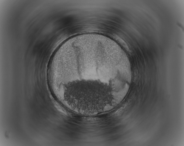 X0000091241039200709061535