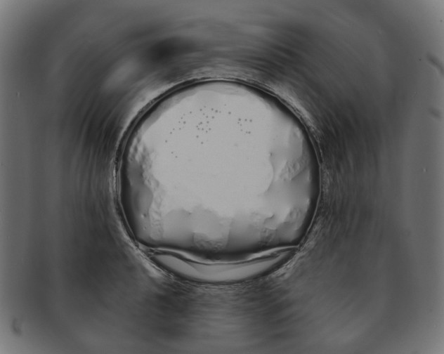 X0000091241040200709061536
