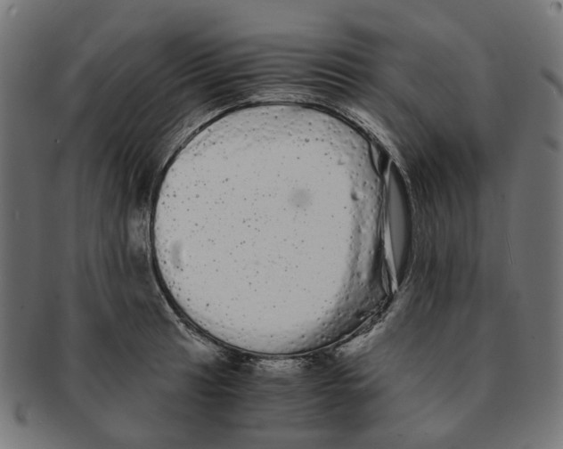 X0000091241041200709061536