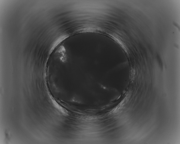 X0000091241042200709061536