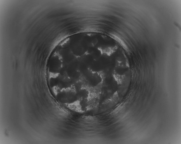X0000091241043200709061536