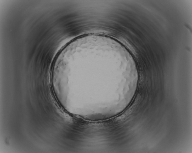 X0000091241044200709061536