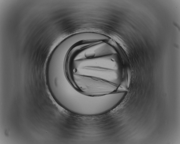 X0000091241046200709061536