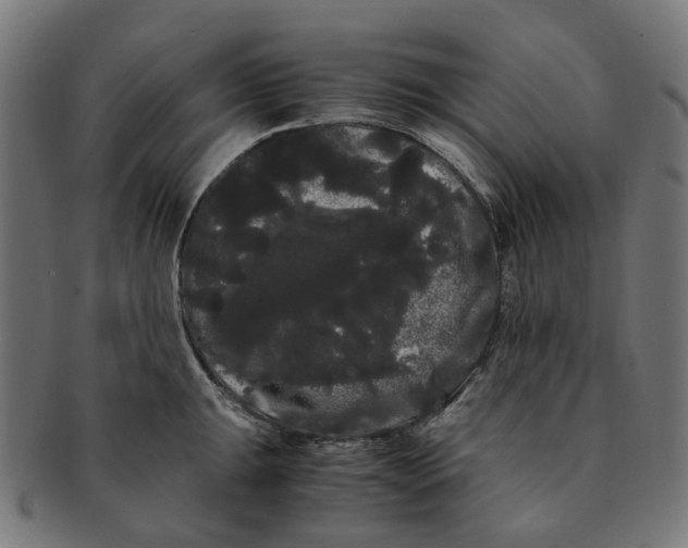 X0000091241047200709061536