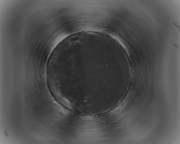 X0000091241048200709061536