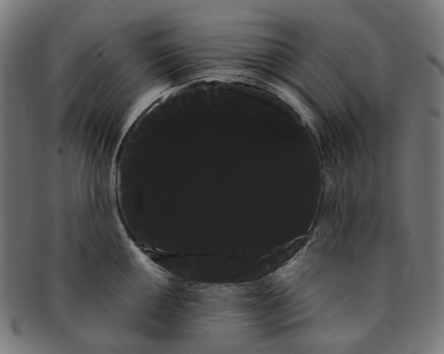 X0000091241050200709061536