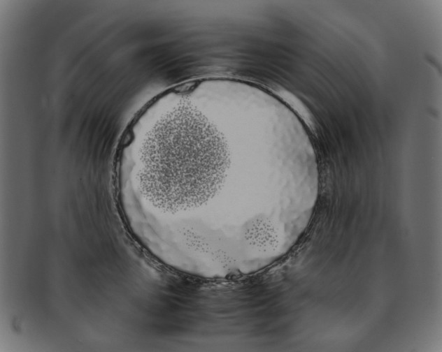 X0000091241051200709061536