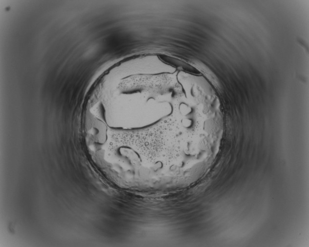 X0000091241052200709061536