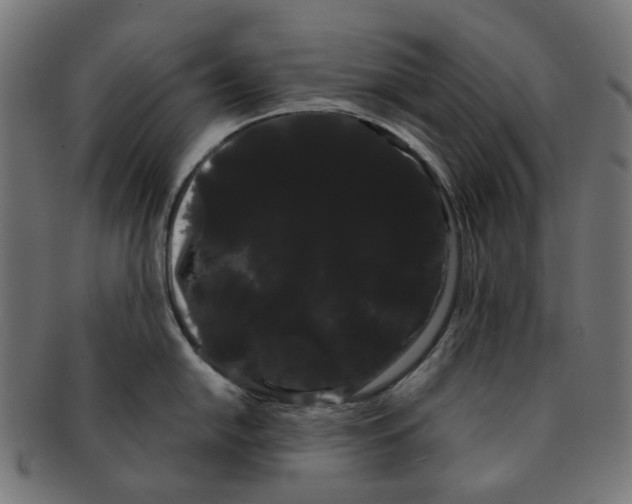 X0000091241054200709061536