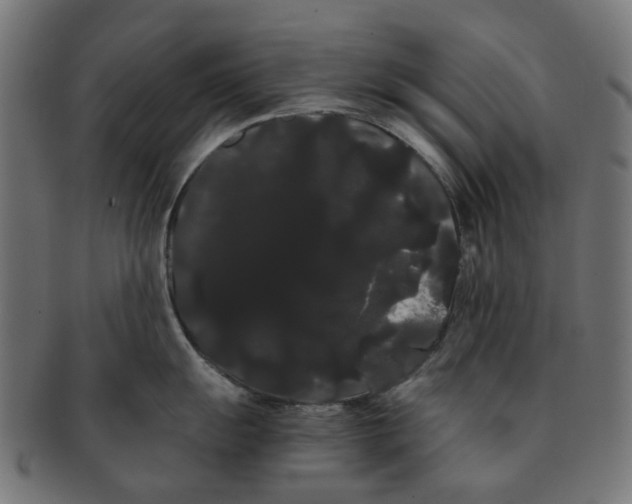 X0000091241055200709061536