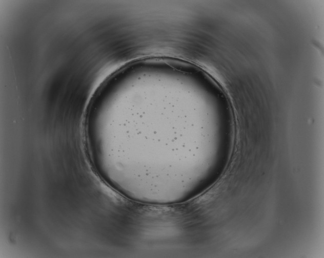 X0000091241056200709061536