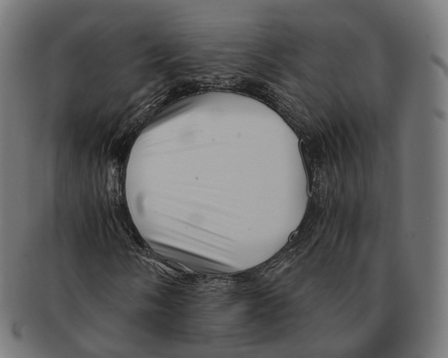 X0000091241058200709061535