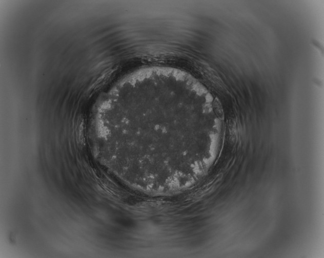 X0000091241060200709061535