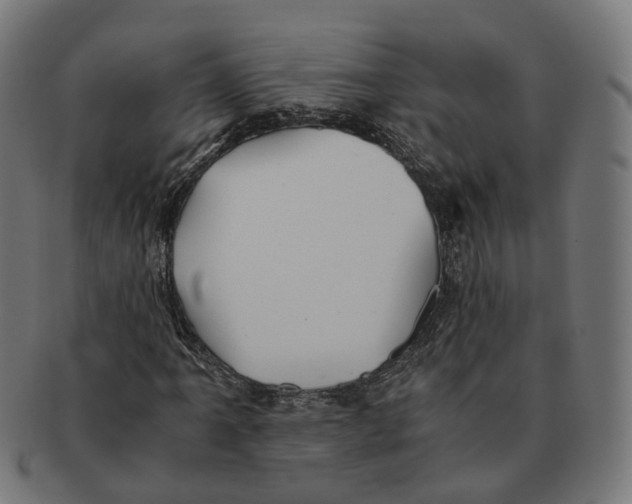 X0000091241061200709061535