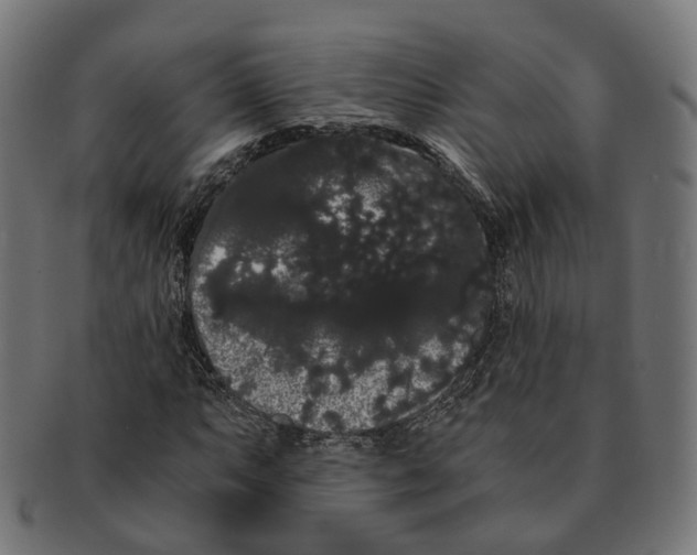 X0000091241063200709061535