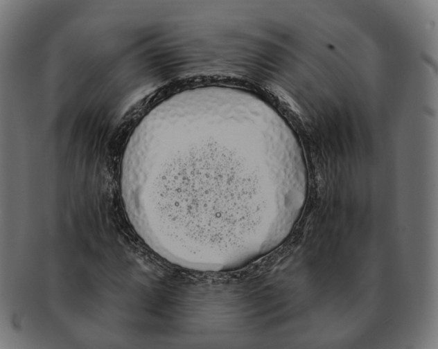X0000091241064200709061535