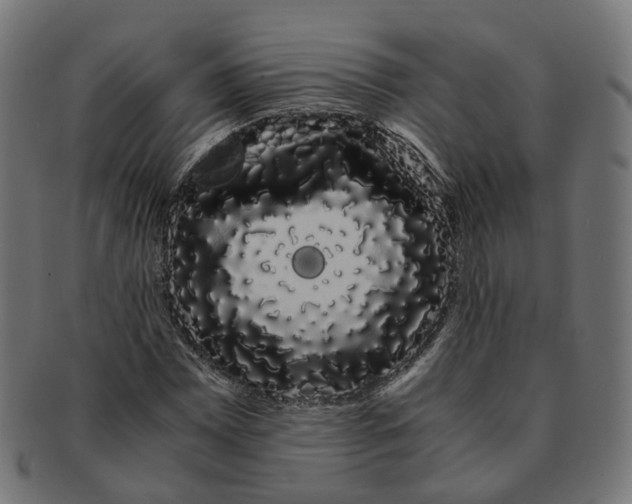 X0000091241065200709061535