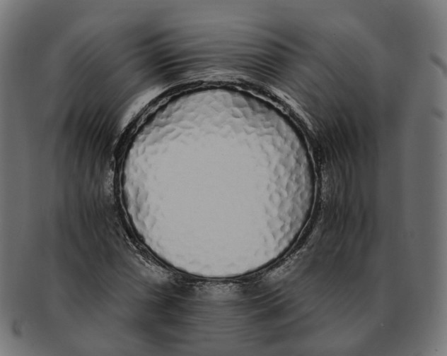 X0000091241066200709061535