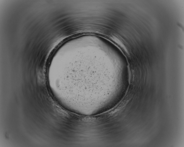 X0000091241068200709061535