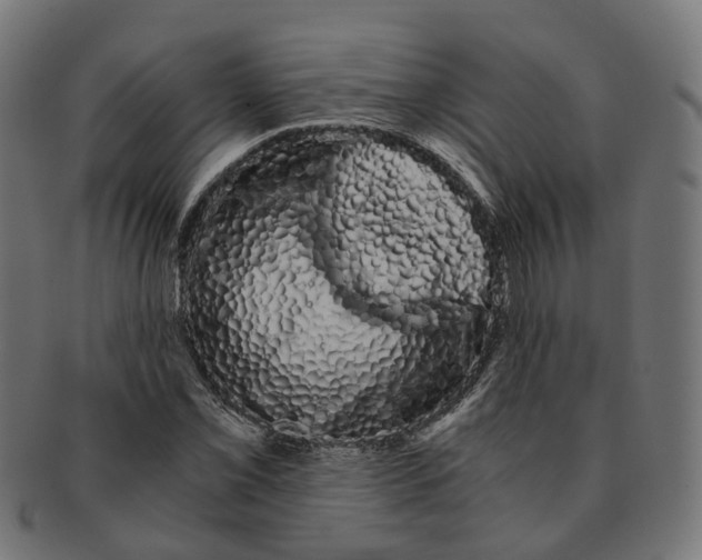 X0000091241069200709061535