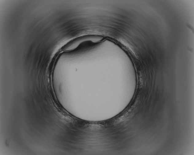 X0000091241070200709061535