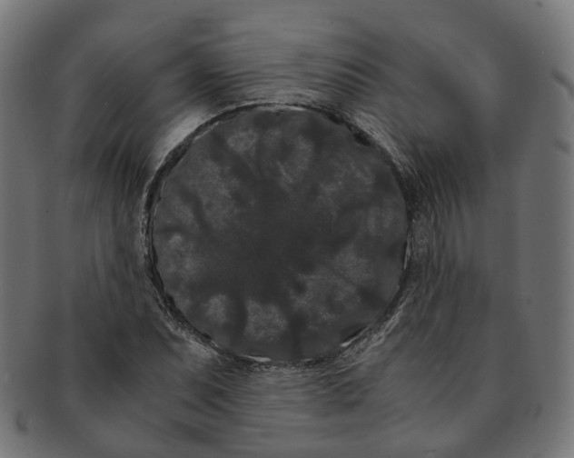 X0000091241071200709061535