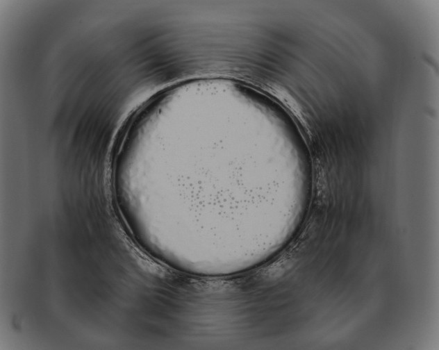 X0000091241072200709061535