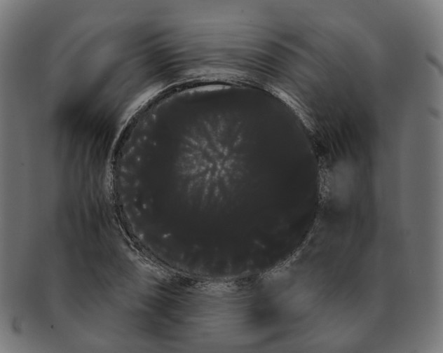 X0000091241074200709061535