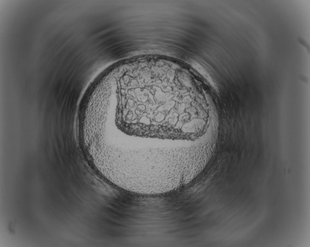 X0000091241076200709061535