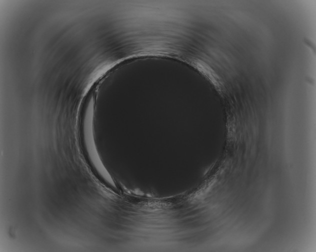 X0000091241077200709061535