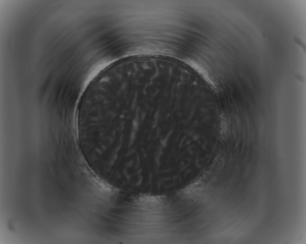 X0000091241078200709061535