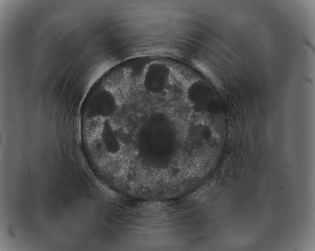 X0000091241079200709061535