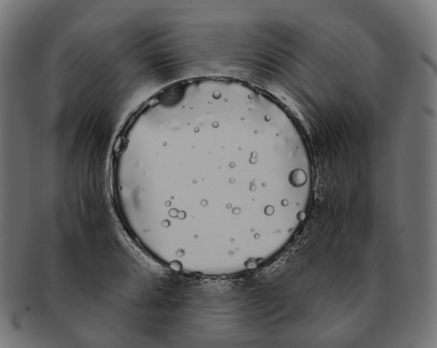 X0000091241080200709061535