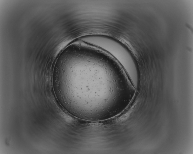 X0000091241081200709061535