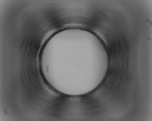 X0000091241082200709061535