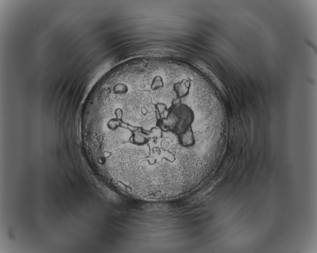 X0000091241083200709061535