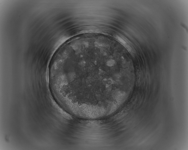 X0000091241084200709061535