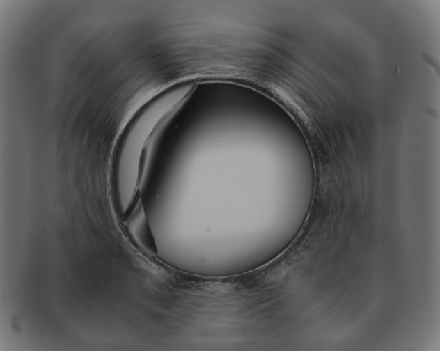 X0000091241085200709061535