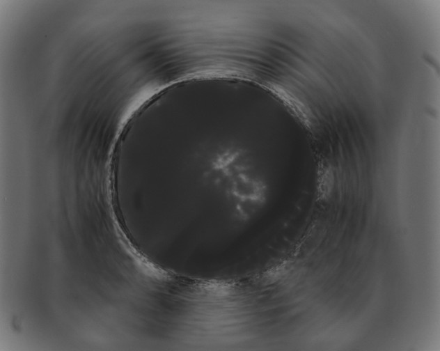 X0000091241086200709061535