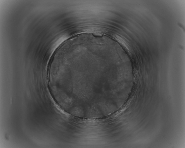 X0000091241087200709061535