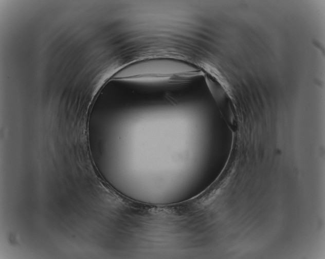 X0000091241089200709061535