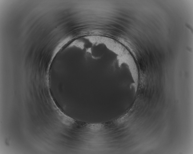 X0000091241090200709061535