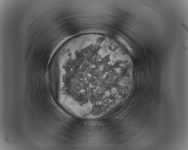 X0000091241092200709061535