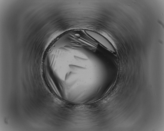 X0000091241093200709061535