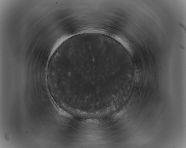 X0000091241094200709061535